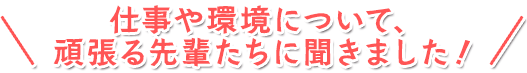 仕事や環境について、頑張る先輩たちに聞きました！